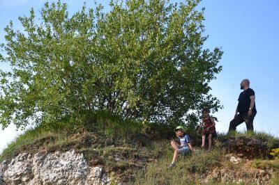 Click to view full size image