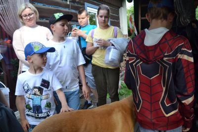 Click to view full size image