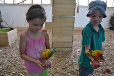 Click to view full size image