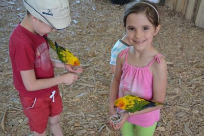 Click to view full size image