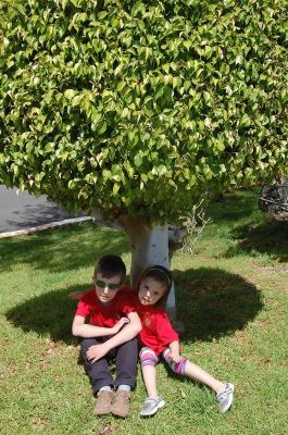 Click to view full size image