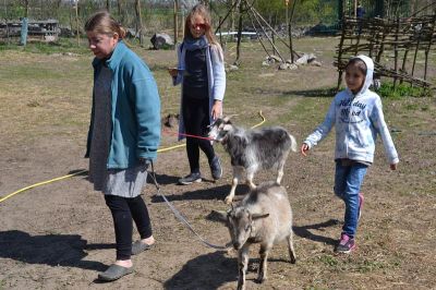 Click to view full size image